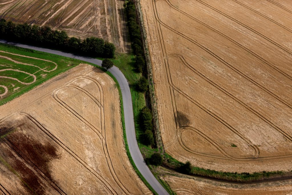 danmark mark landbrug