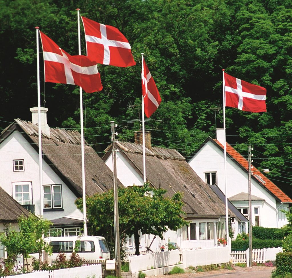 dansk flag danmark sommer natur