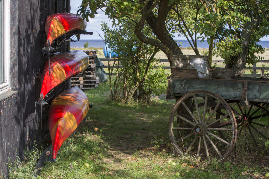 Danmark natur sommer landet